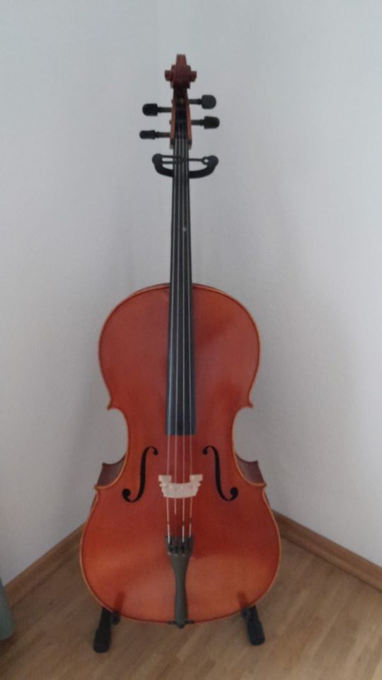 Tononi 4/4 Cello Nr.100 in Aalen