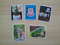 5 REWE Sammelbilder NEU FSV Frankfurt Tiere Sport Bilder Sticker Hessen - Guxhagen Vorschau