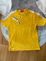 Puma Sport Shirt Tshirt gelb weiß Größe S Bayern - Bad Neustadt a.d. Saale Vorschau