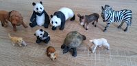 Schleichtiere, Schleich, Panda, Löwe, Zebra, Schildkröte, Welpe Brandenburg - Bersteland Vorschau