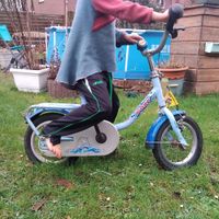 puky Fahrrad kleines Fahrrad Kinderfahrrad zum lernen 12 Zoll? Parchim - Landkreis - Plate Vorschau