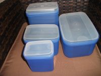 Tupperware Dosen mit Schwingdeckel 450 ml,1l,1,6l,2,2l Niedersachsen - Hanstedt Vorschau