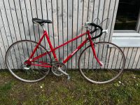 Retro bike Fahrrad klassiker Damen Rennrad Velo Schauff rot Baden-Württemberg - Muggensturm Vorschau