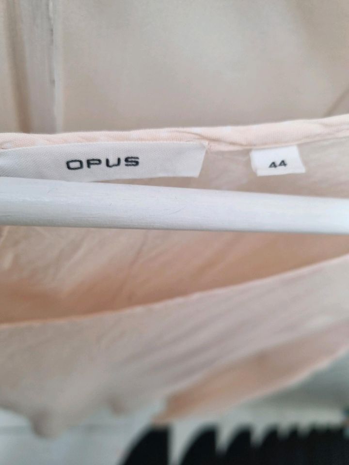 Opus Bluse 44 in Lemgo