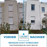 Fassadenreinigung Baden-Württemberg - Mosbach Vorschau