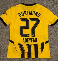 Borussia Dortmund Cup-Trikot „27 Adeyemi“ Gr.M Bayern - Mallersdorf-Pfaffenberg Vorschau