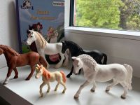 Schleich, Pferde und Buch Nordrhein-Westfalen - Ochtrup Vorschau