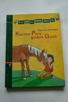 Kleines Pony, großes Glück  Patricia Schröder Altona - Hamburg Ottensen Vorschau