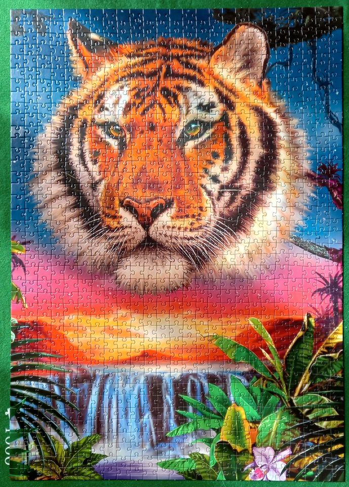 Fantasy Puzzle 2x 1000 Teile in Miesbach