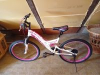 26 Zoll Damen Mountain Bike Pink-21 Gänge wie Neu! Sachsen - Zittau Vorschau