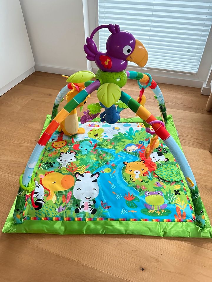 Fisher-Price Rainforest Erlebnisdecke Turkan in Haiger