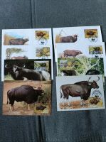 WWF Sammlung Rinder Niedersachsen - Lauenau Vorschau