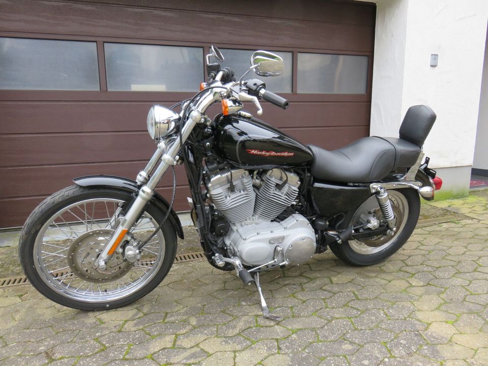 Harley-Davidson XL 883 C  TOP  REIFEN  SERVICE NEU in Ditscheid