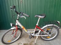 Fahrrad Kinder, 20 Zoll Baden-Württemberg - Eichstetten am Kaiserstuhl Vorschau