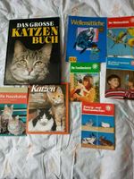 Bücher Katzen und Wellensittiche (Ratgeber) Essen - Stoppenberg Vorschau