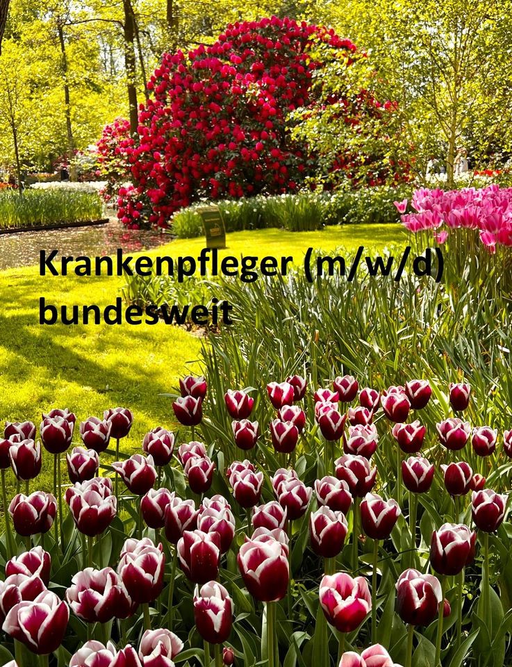 Work & Travel Krankenpfleger (m/w/d) exam. 30 €/h in Winnenden