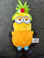 Minion Ananas Nürnberg (Mittelfr) - Mitte Vorschau