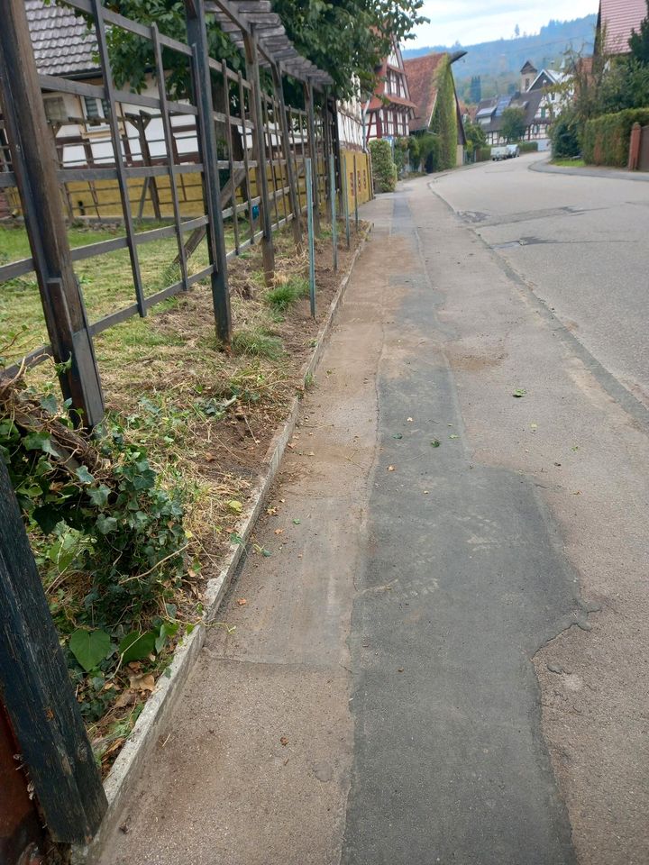 Gartenpflege in Freiburg im Breisgau