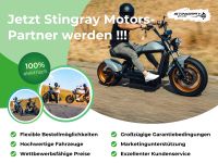Händler werden Elektroroller E Roller Bike Scooter Fahrrad Mofa Nürnberg (Mittelfr) - Mitte Vorschau