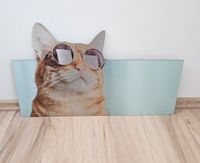 Katzenbild Alu Dibond Katze mit Sonnenbrille Bayern - Donauwörth Vorschau