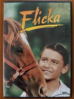 TOP DVD Mein Freund Flicka KLASSIKER EINER PFERDE FREUNDSCHAFT Hessen - Karben Vorschau