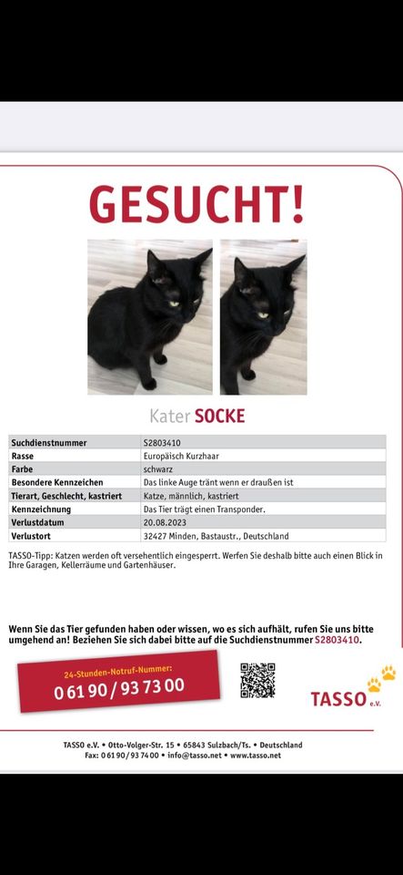 „Socke“, wo bist du ??? in Minden