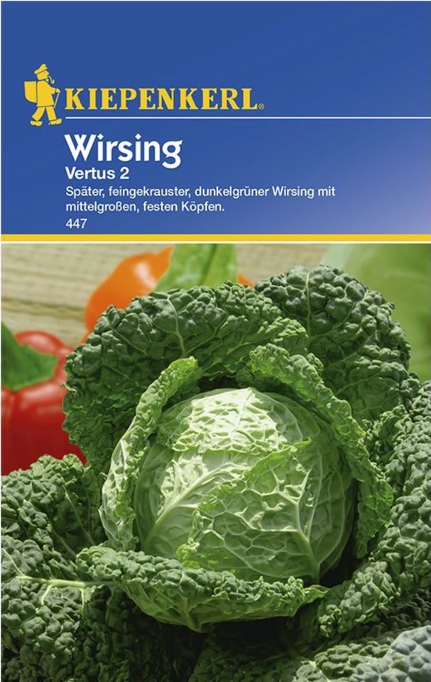 Kiepenkerl Wirsing Vertus 2 Gemüse Kohl Anbau Garten in Striegistal