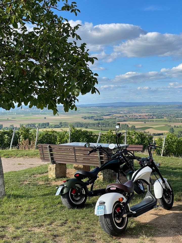 Elektrochopper - 45 km/h - 20 Ah in Nierstein