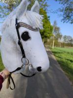 Hobby Horse aus Finnland Schimmel wunderschön Niedersachsen - Hanstedt Vorschau