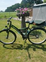 Pegasus Jugend Fahrrad 26 Zoll Dithmarschen - Burg (Dithmarschen) Vorschau