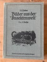 Bilder aus der Insektenwelt von Fabre 1914 Schleswig-Holstein - Bad Oldesloe Vorschau
