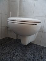 WC Tiefspüler Keramik Dolomite ohne Deckel, sehr guter Zustand Hessen - Oberzent Vorschau