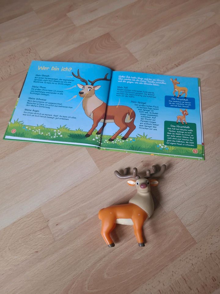 Süßes Kinderbuch mit Figur Hirsch Buch Leben im Wald in Dresden