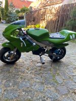 Pocketbike Toni Mang 1 KR 49 ccm Brandenburg - Gorden-Staupitz Vorschau