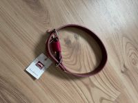 Hund Halsband von Dogstyler Nordrhein-Westfalen - Soest Vorschau