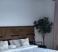 Ikea Baum grüne Pflanze Nordrhein-Westfalen - Frechen Vorschau