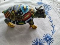 Schildkröte , Tom`s Drag Rheinland-Pfalz - Hermeskeil Vorschau