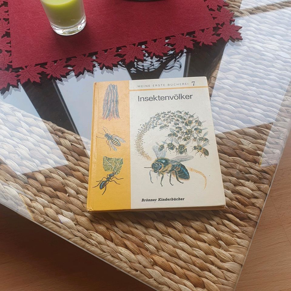 Meine erste Bücherei 7 "Insektenvölker" Brönner Verlag in Memmingerberg