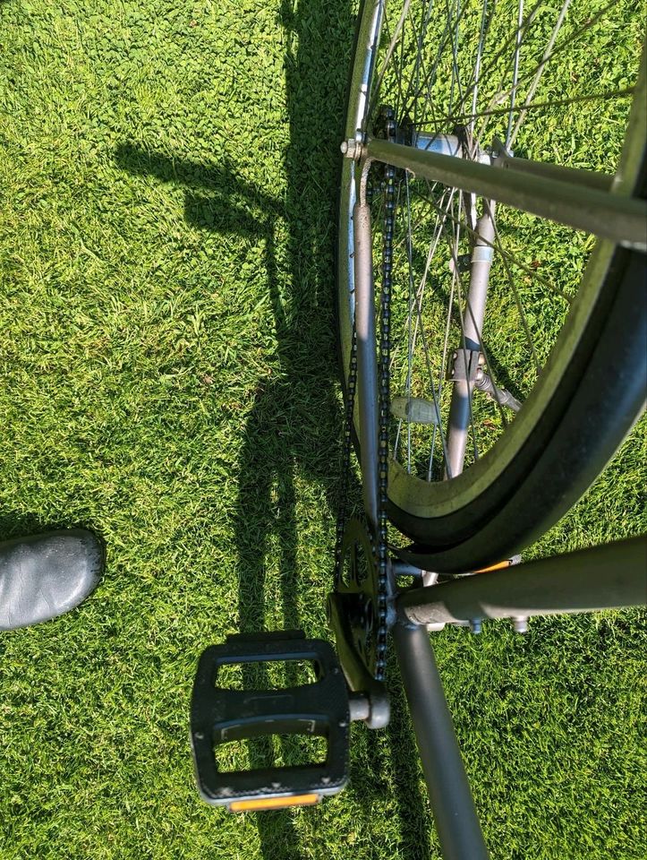 Single Speed Fahrrad aus den USA in Nienhagen