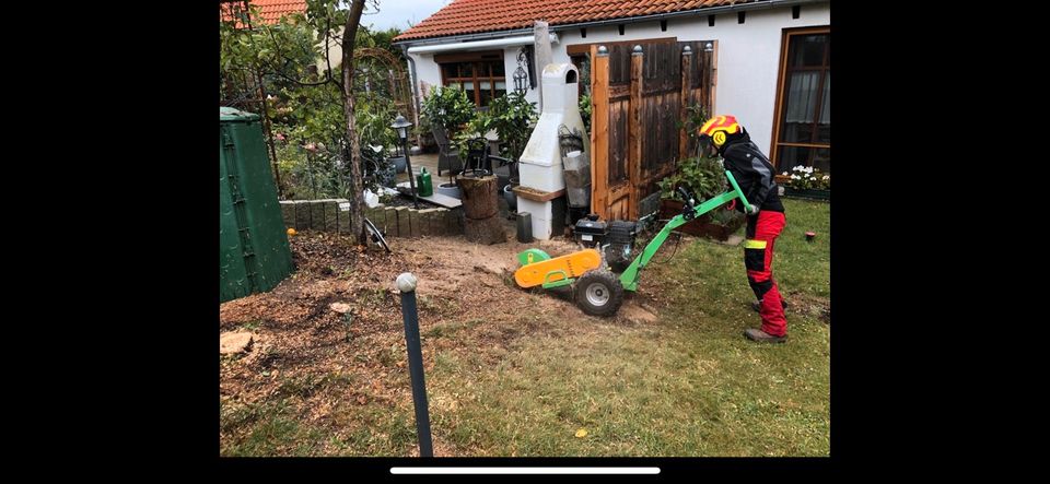 Wurzelentfernung Stubbenfräsen Baumstumpfentfernung Wurzelfräsen in Chemnitz