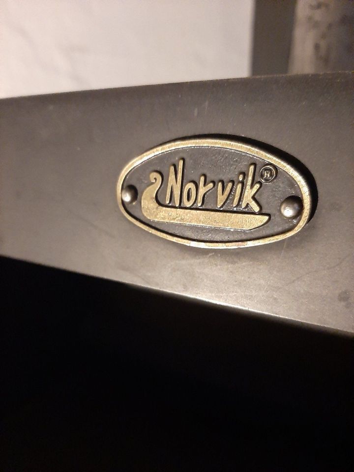 Norvik Holzofen Kaminofen Allesbrenner Ofen 8 KW Thormasmalt in München