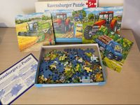 Ravensburger Puzzle Schmidt Spiele Thüringen - Münchenbernsdorf Vorschau