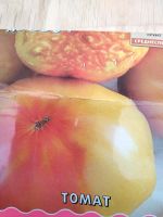 Tomatenpflanzen verschiedenen Sorten und Größe Nordrhein-Westfalen - Selm Vorschau