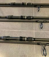 3× Daiwa Emblem 13ft 3.5lbs Karpfenruten 1. SERIE Old School Carp Niedersachsen - Bad Bentheim Vorschau