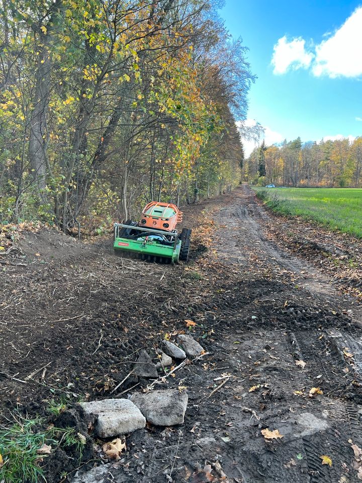 Forstmulcher / Forstfräse / Forst / Wald/ Rodung / Baufeldräumung in Weiden b Weimar Thür