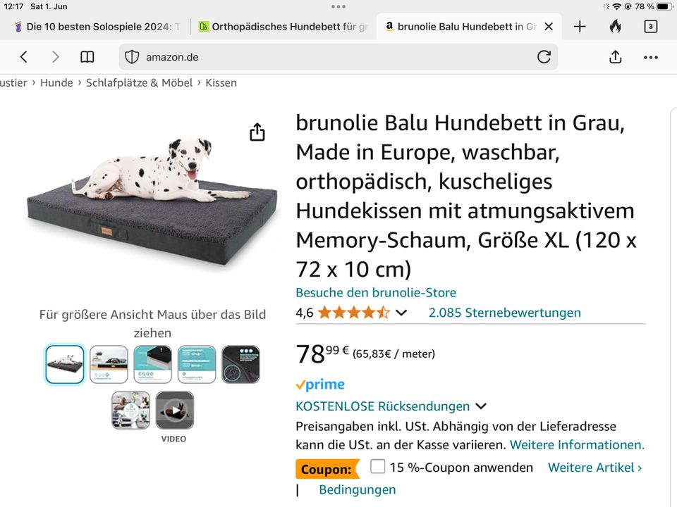 Orthopädisches Hundebett für größere Hunde in Kaiserslautern