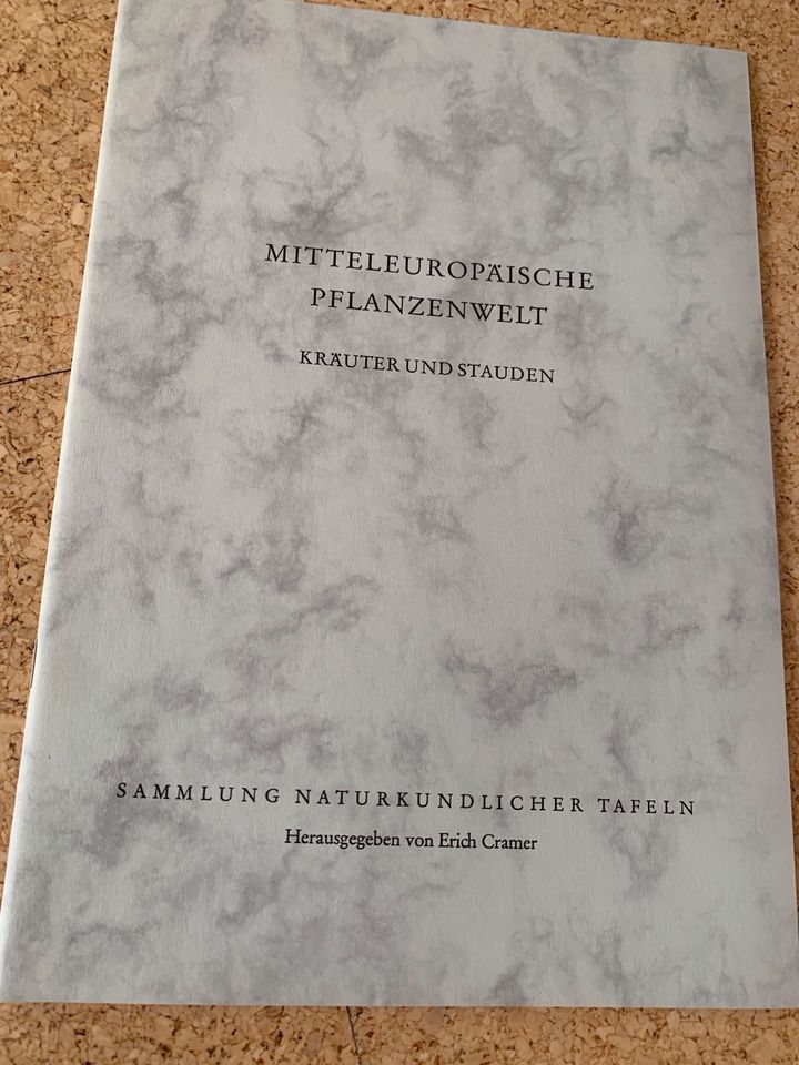 Sammlung naturkundlicher Tafeln, Kräuter und Stauden, Pflanzen in Kötz