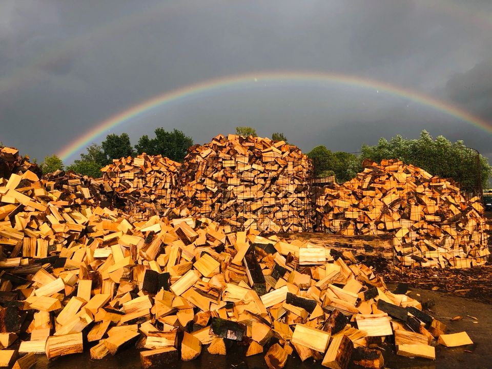 Brennholz/Kaminholz BUCHE RM in Seeburg (Niedersachsen)