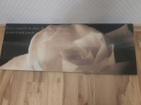 Wandbild  Rose aus Plexiglass Harburg - Hamburg Wilstorf Vorschau