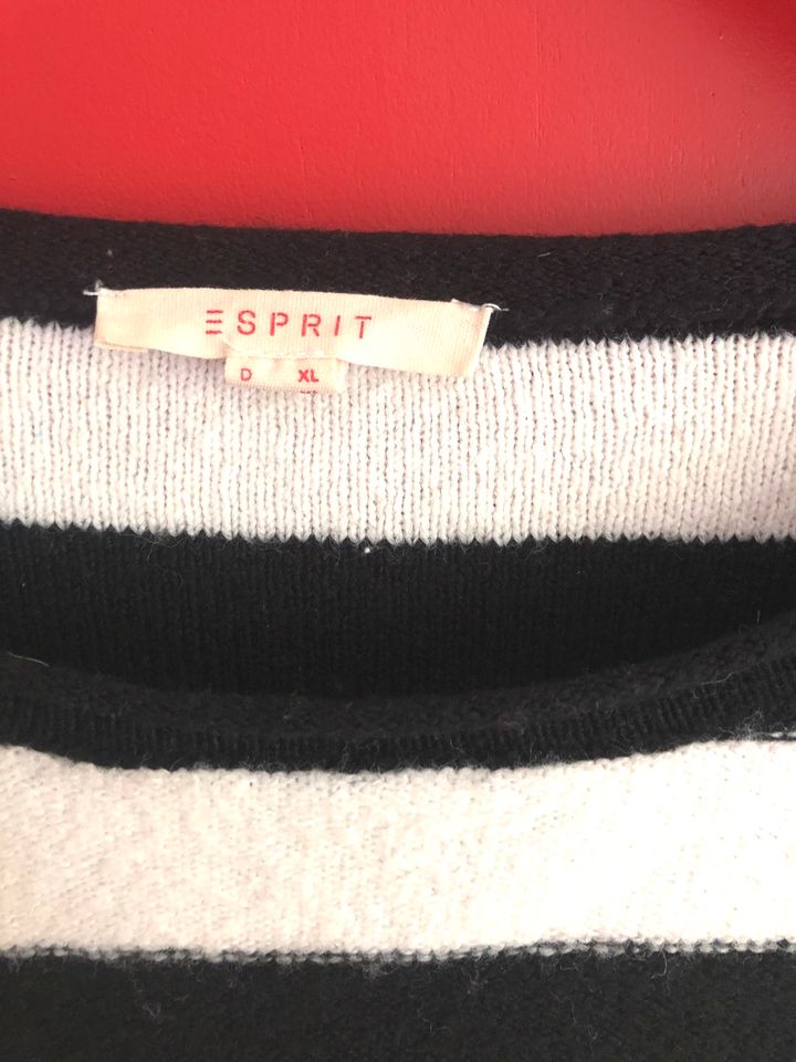 Pullover  Esprit xl in Sonsbeck